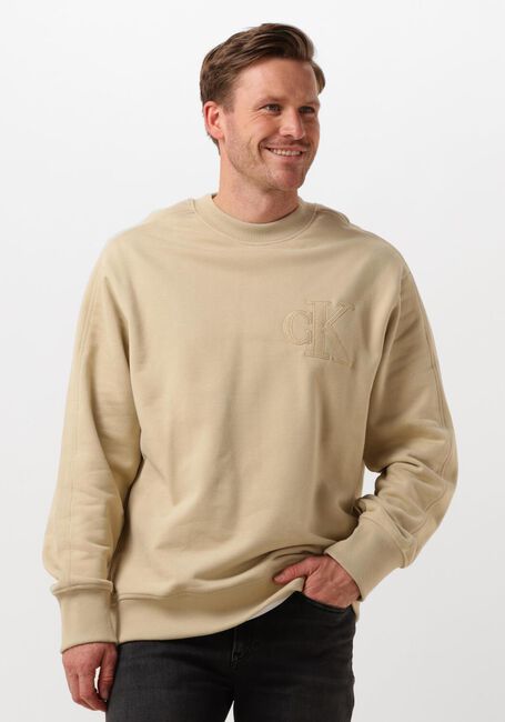 Khaki CALVIN KLEIN Sweatshirt CK APPLIQUE CREW NECK - large