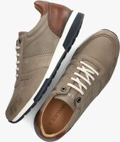 Taupe VAN LIER Sneaker low 2415511 - medium