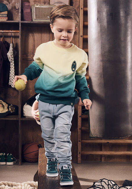 Mehrfarbige/Bunte Z8 Sweatshirt ALFRED - large