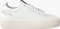 Weiße FLORIS VAN BOMMEL Sneaker 85234 - medium