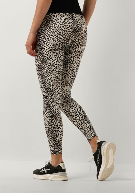 Braune DEBLON SPORTS Legging CLASSIC LEGGINGS HIGH WAISTBAND - large