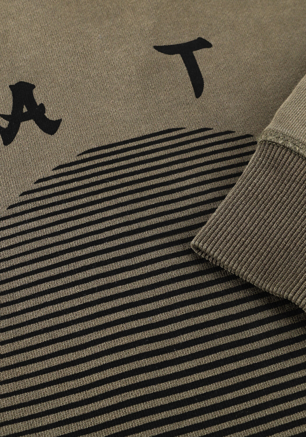 Gr&uuml;ne ANERKJENDT Sweatshirt AKSUN JAPANESE SWEAT - large