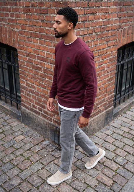 Bordeaux PURE PATH Pullover ROOTED TREE - large
