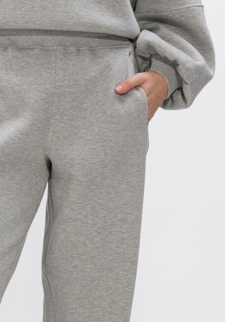 Graue IBANA Hosen PAYO - large