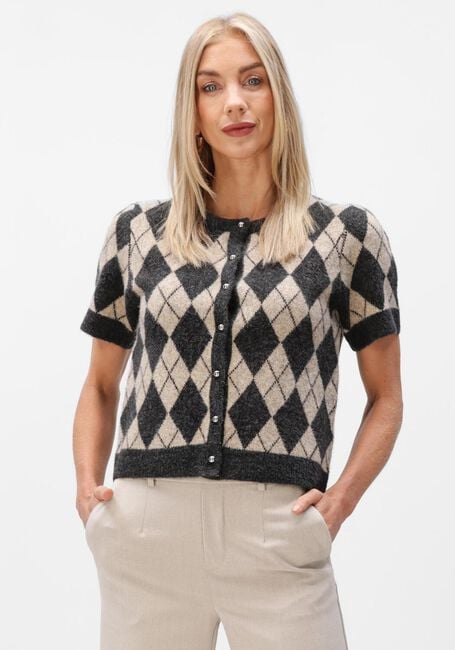 Mehrfarbige/Bunte NEO NOIR Strickjacke ALLESTAR CHECK KNIT CARDIGAN - large