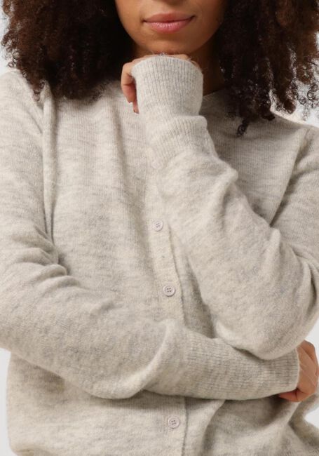 Hellgrau CIRCLE OF TRUST Strickjacke ANDY CARDIGAN - large