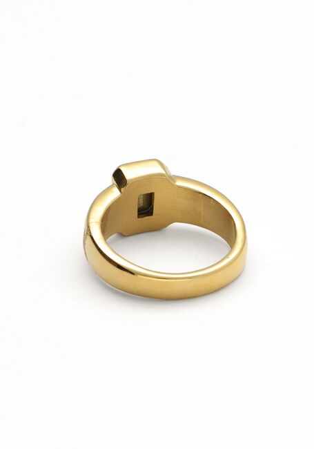 Goldfarbig NOTRE-V Ring OMFW22-015 - large