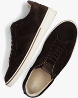 Braune VAN BOMMEL Sneaker low SBM-10019 - medium