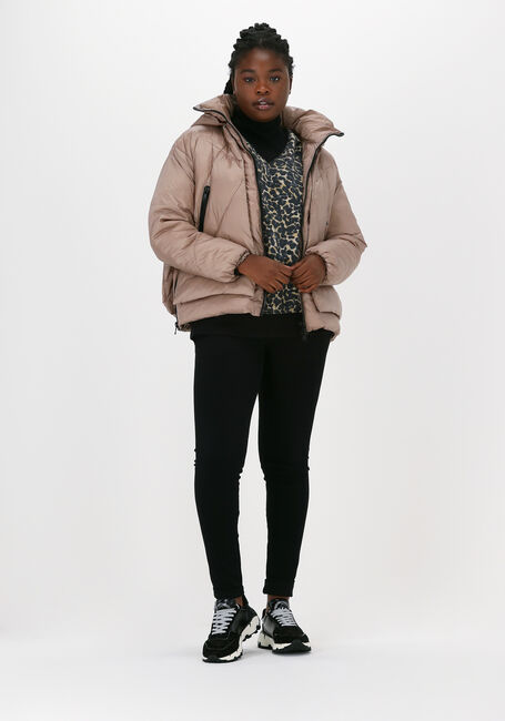 Taupe CANADIAN Wattierte Jack EUGENIE SHORT SAT - large