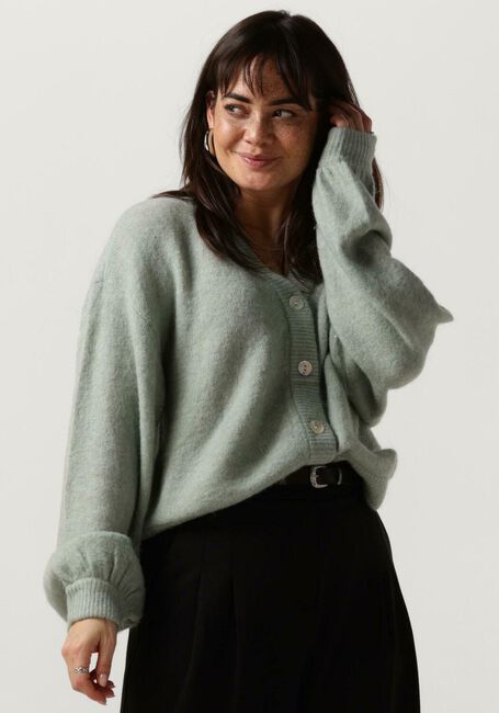 Grüne MSCH COPENHAGEN Strickjacke MSCHPETRINELLE HOPE CARDIGAN - large