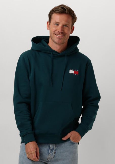Grüne TOMMY JEANS Pullover & Cardigans TJM REG ESSENTIAL FLAG HOOD EXT - large