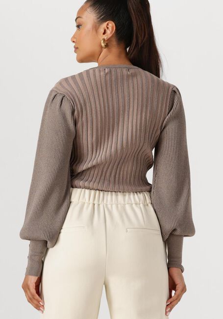 Taupe NUKUS Tops & T-shirts MULBERRY PULLOVER LUREX - large