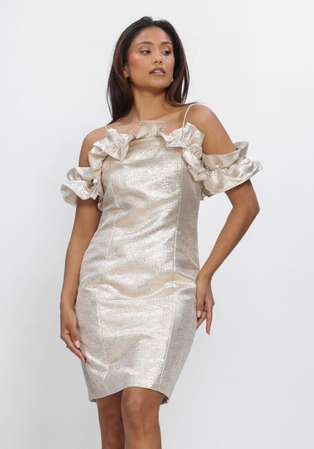 Goldfarbene BRUUNS BAZAAR Kleider WALLICHIABBMARTHA DRESS - large