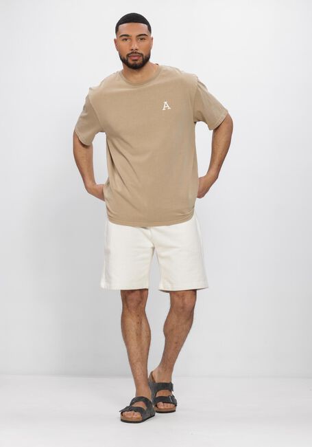 Beige ANERKJENDT T-shirt AKVILLADS SUN PRINT SS TEE - large