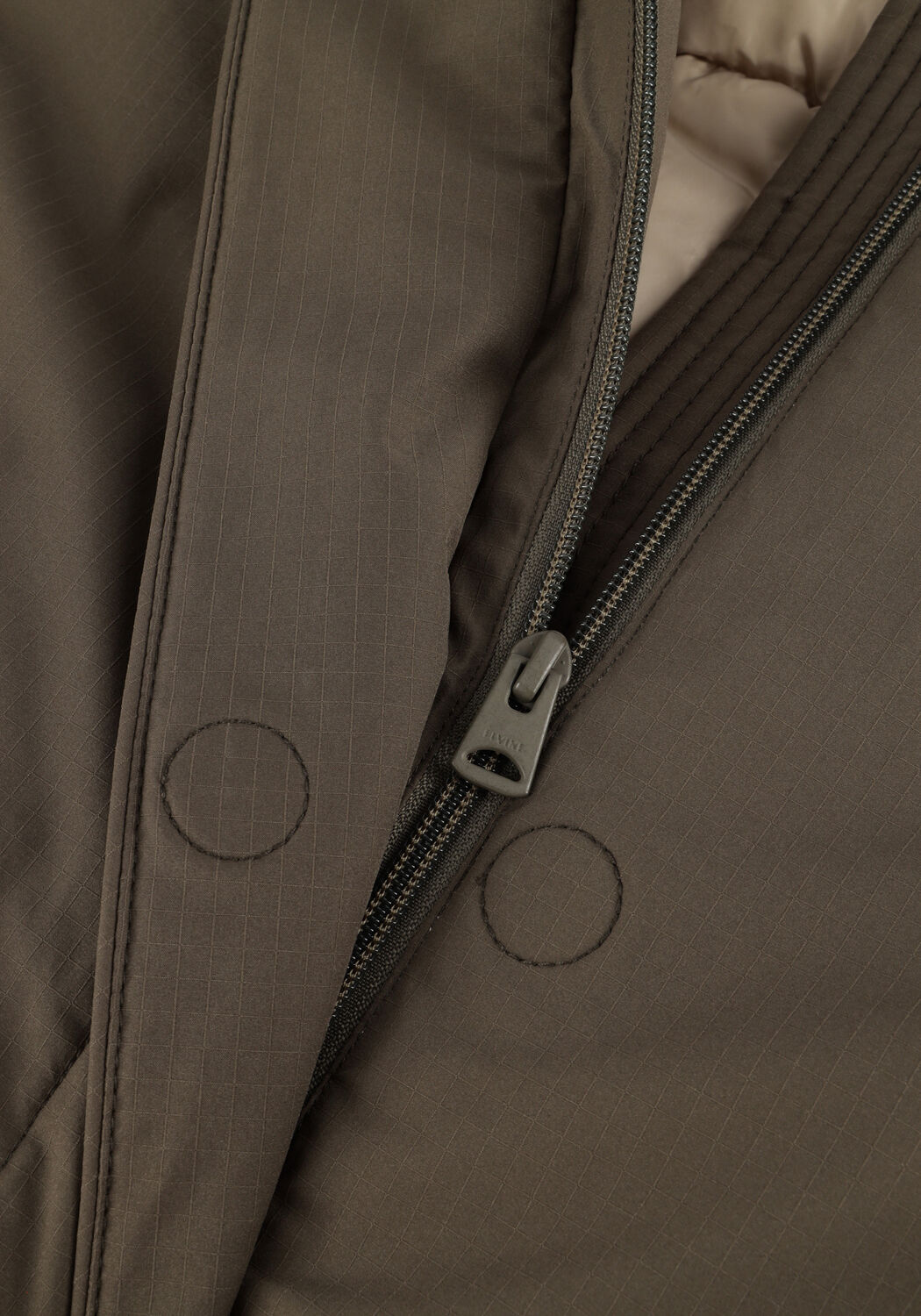 Gr&uuml;ne ELVINE Wattierte Jack SAIRA - large