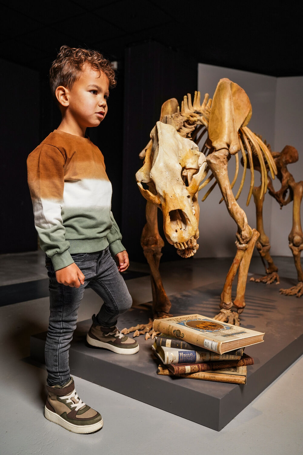 Mehrfarbige/Bunte KOKO NOKO Pullover O56889 - large