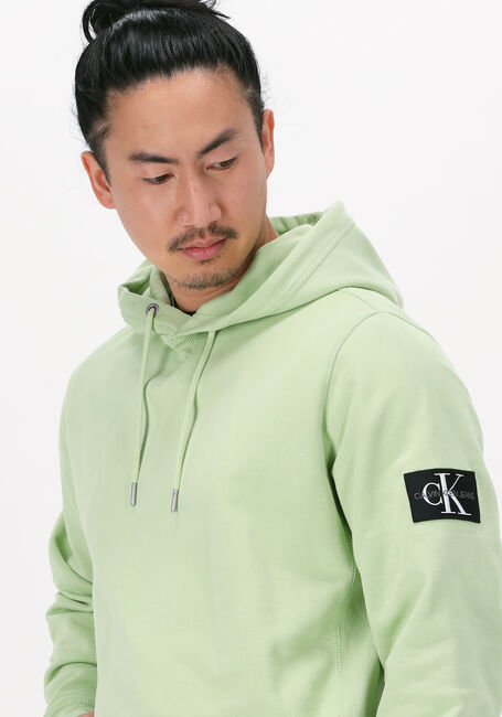 Grüne CALVIN KLEIN Sweatshirt MONOGRAM SLEEVE BADGE HOODIE - large