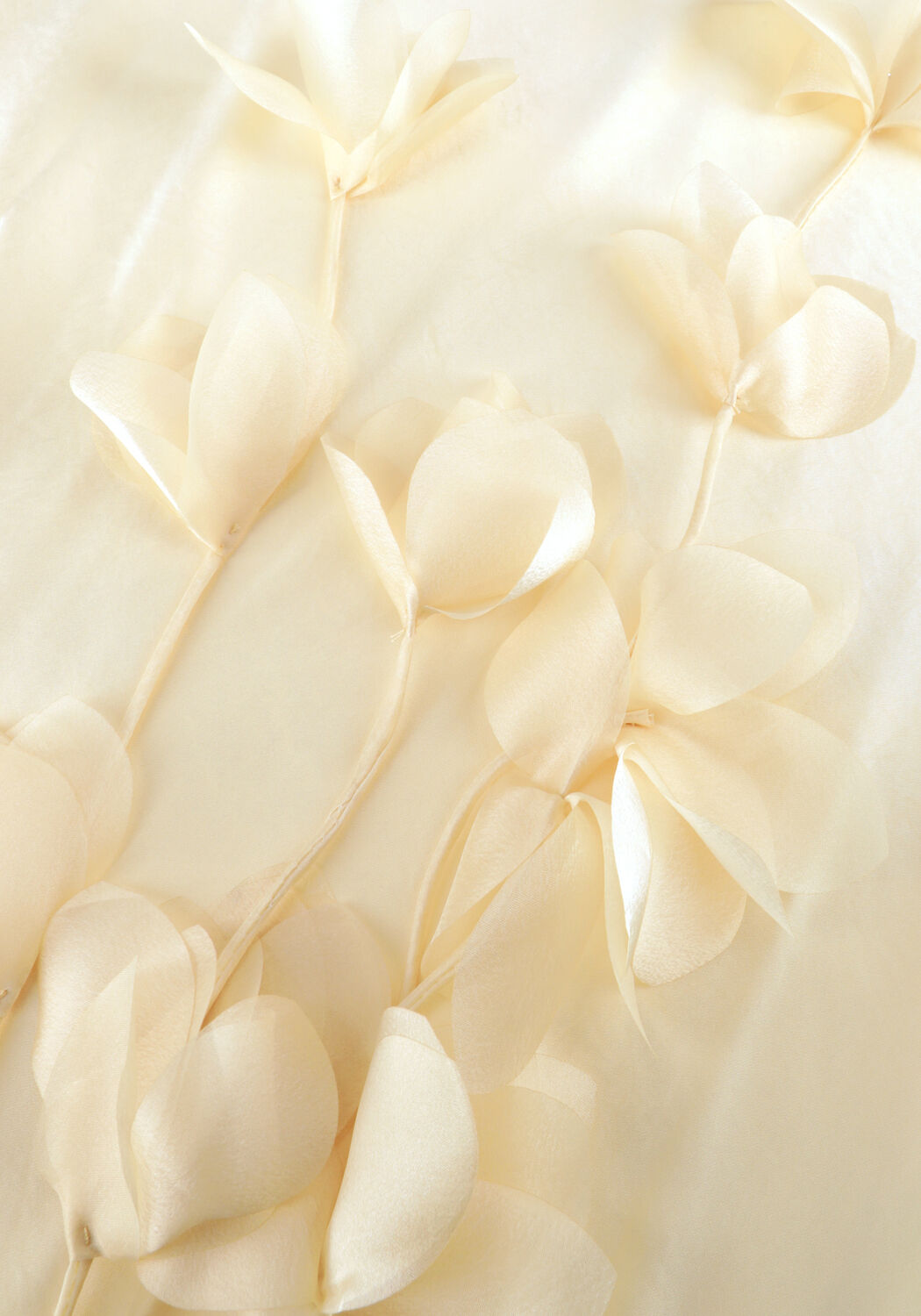 Creme NOTRE-V Maxikleid NV-HEGINA - large