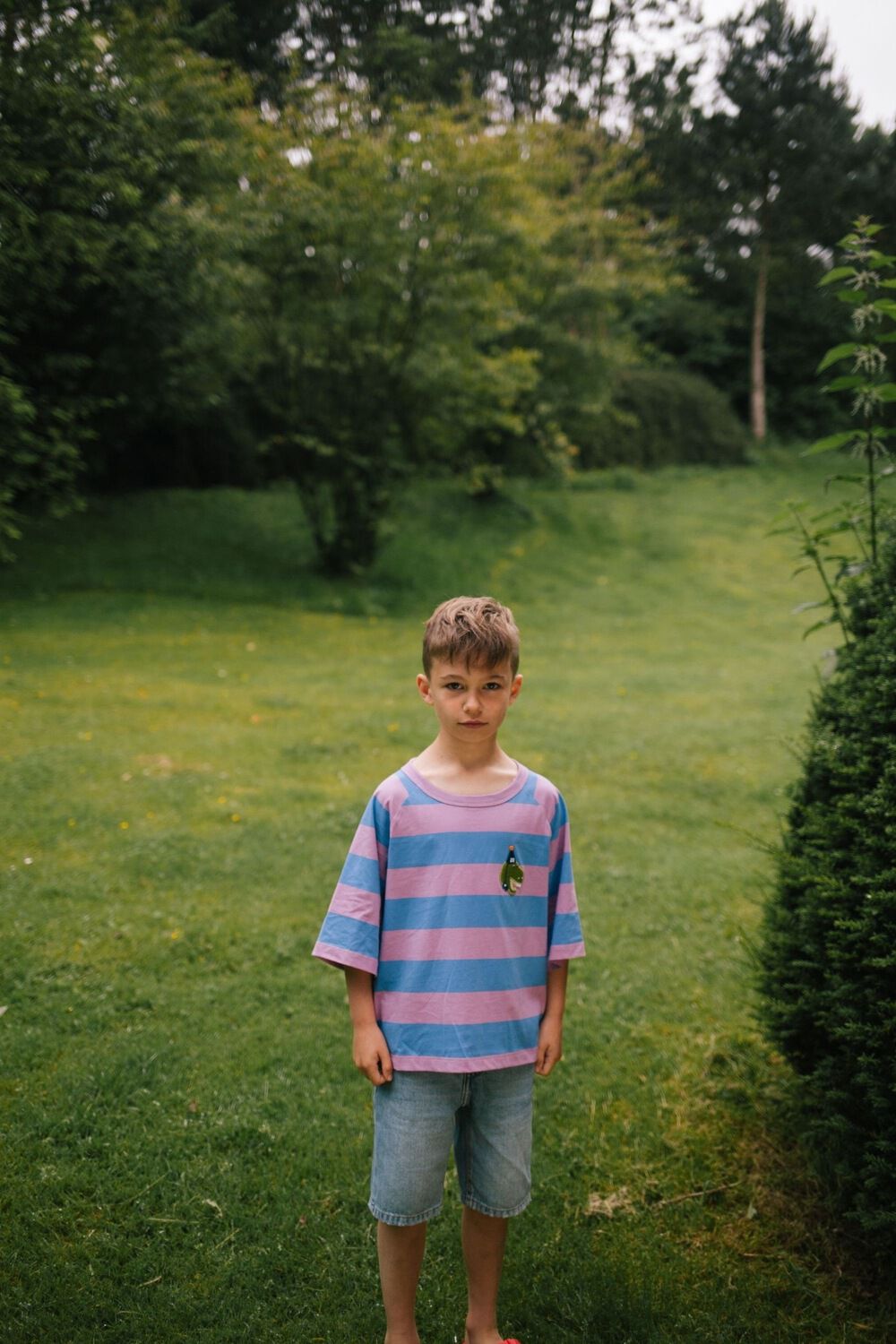 Mehrfarbige/Bunte DAILY BRAT T-shirt STRIPED T-SHIRT - large