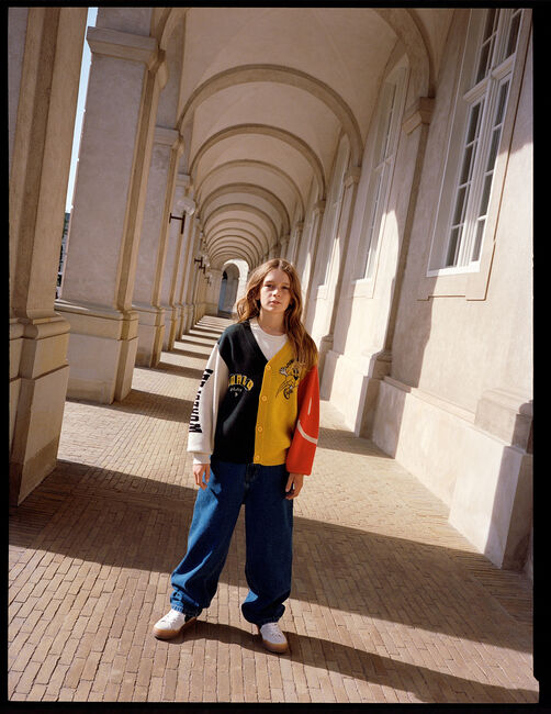 Mehrfarbige/Bunte MOLO Strickjacke BURT - large