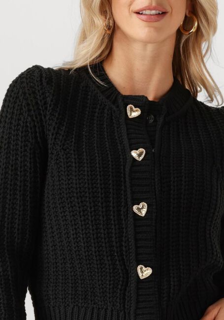 Schwarze FABIENNE CHAPOT Strickjacke SUN CARDIGAN 1 - large