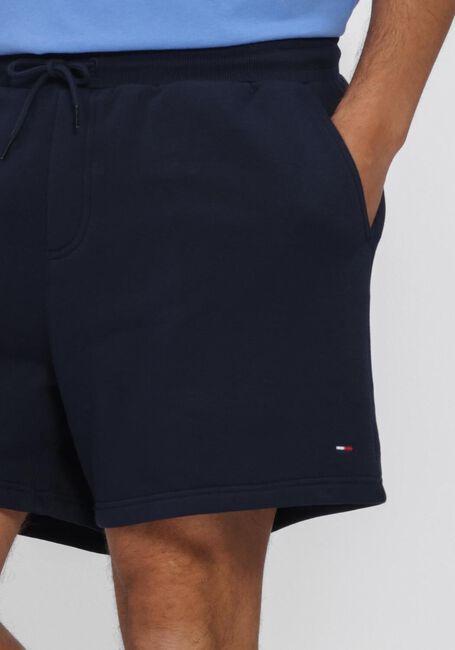 Dunkelblau TOMMY JEANS Kurze Hose TJM S FLAG BEACH SHORT EXT - large