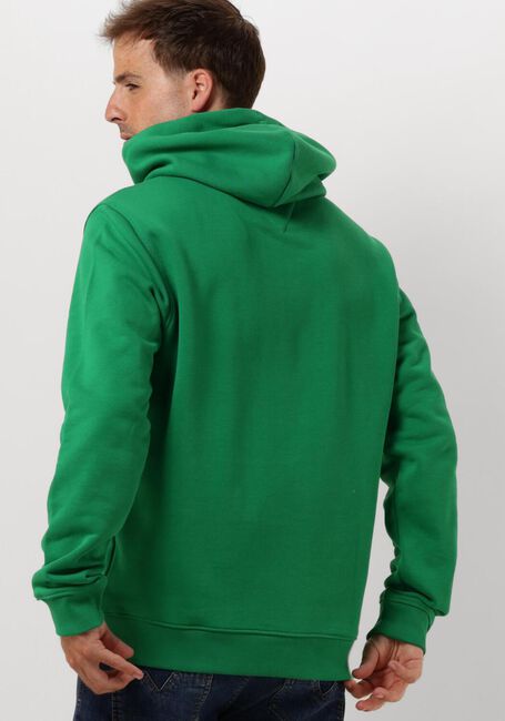 Grüne TOMMY JEANS Sweatshirt TJM REG BADGE HOODIE - large