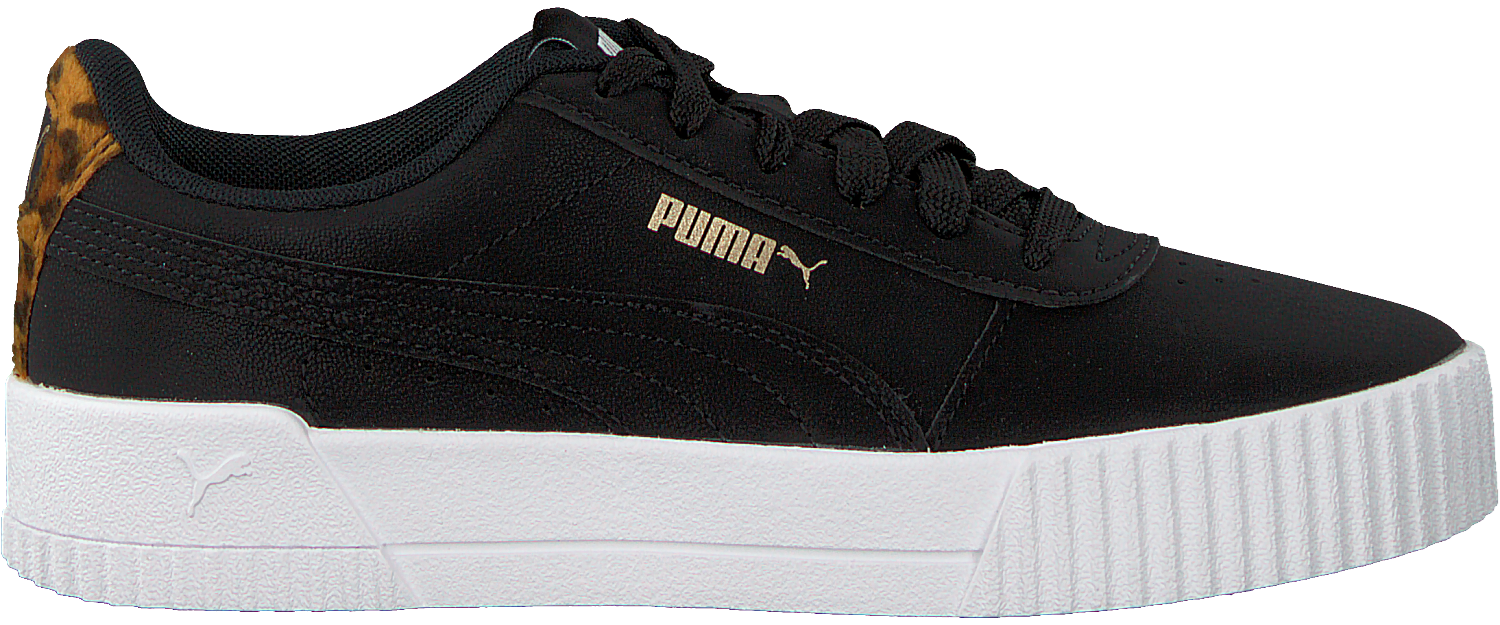 carina leo puma