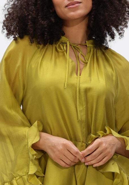 Gr&uuml;ne DEVOTION Kleider SHEEN - large