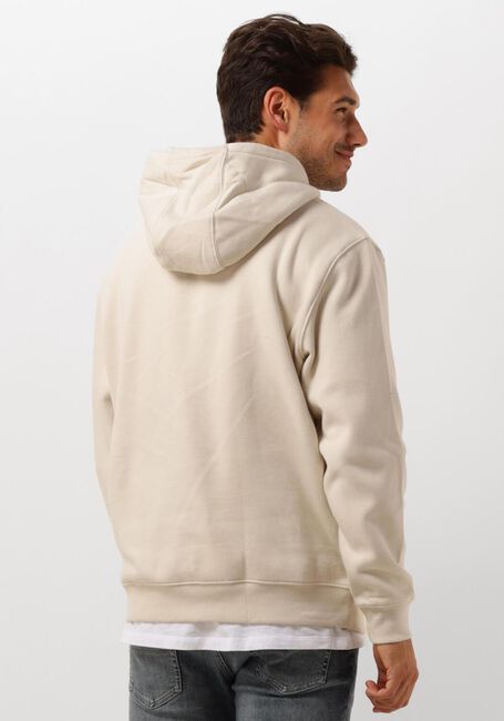 Beige TOMMY JEANS Pullover & Cardigans TJM REG S FLAG HOODIE - large