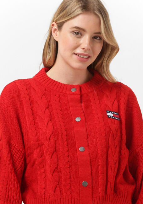 Rote TOMMY JEANS Strickjacke SWEATERS BUTTON - large