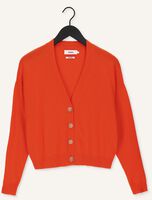 Orangene NOT SHY Strickjacke JUANA Orangene NOT SHY Strickjacke JUANA - medium