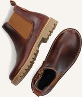 Cognacfarbene KOEL4KIDS Chelsea Boots 13M001 Cognacfarbene KOEL4KIDS Chelsea Boots 13M001 - medium