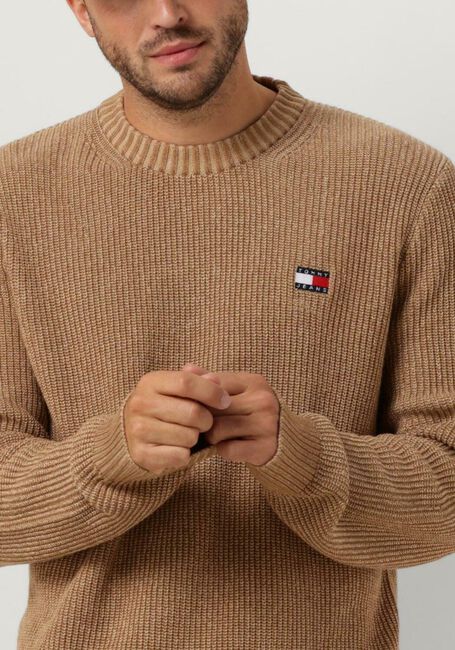 Beige TOMMY JEANS Pullover TJM REG TONAL XS BADGE SWEATER - large