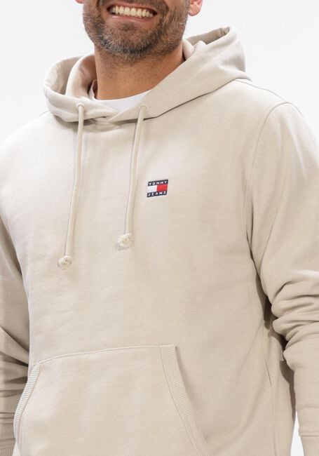 Beige TOMMY JEANS Sweatshirt TJM REG LINEAR CREW EXT - large
