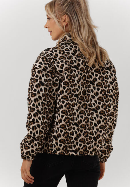 Leopard REFINED DEPARTMENT Jack JAY - large