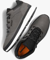 Graue TIMBERLAND Sneaker low FIELD TREKKER LOW LACE UP - medium