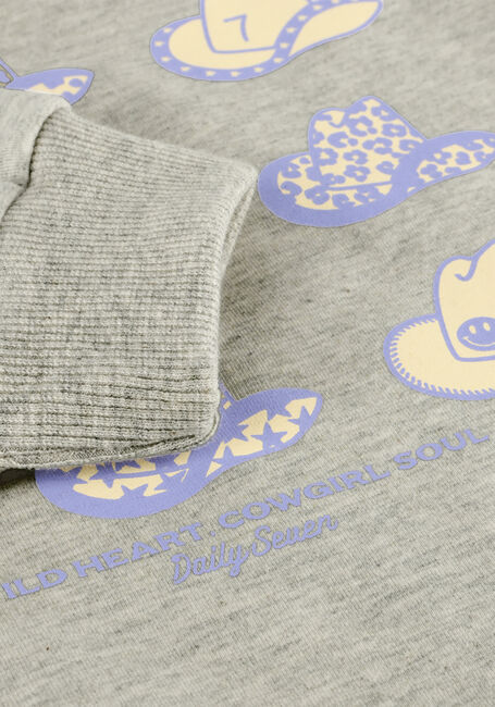 Hellgrau DAILY7 Sweatshirt SWEATER BACKPRINT - large