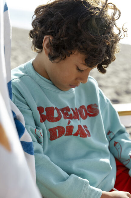 Minze AMMEHOELA Sweatshirt ROCKY - large