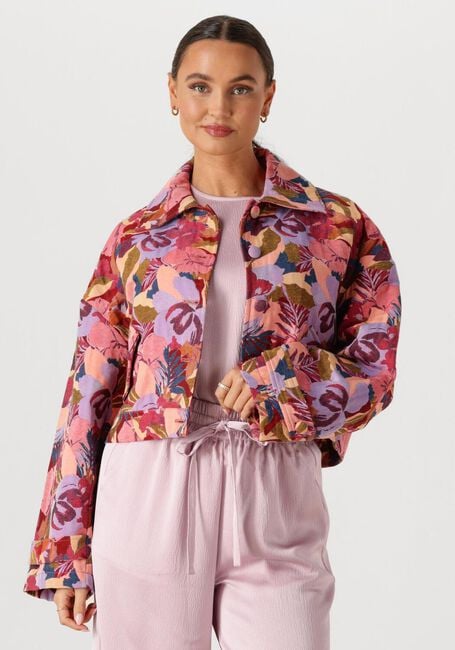 Mehrfarbige/Bunte AMAYA AMSTERDAM Jack 261-42 - large