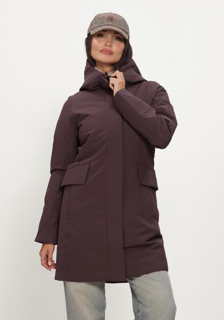 ELVINE Jack SOPHIE - large