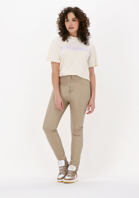 Graue JOSH V T-shirt TEDDY EXTRAORDINARY - large