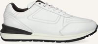 Weiße GREVE Sneaker Low 7258 Weiße GREVE Sneaker Low 7258 - medium