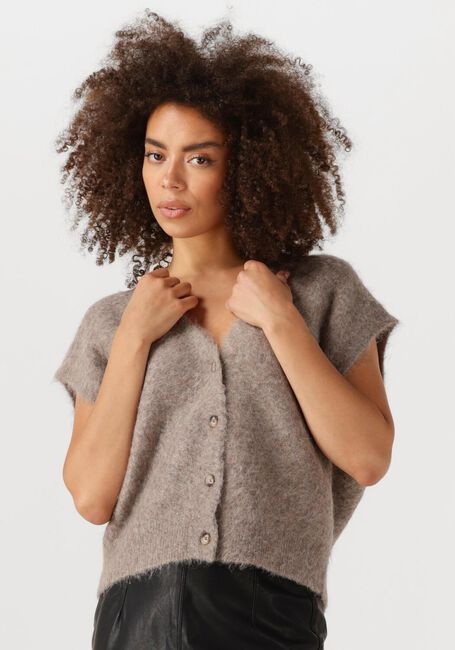 Taupe KNIT-TED Spencer CONSTANCE - large