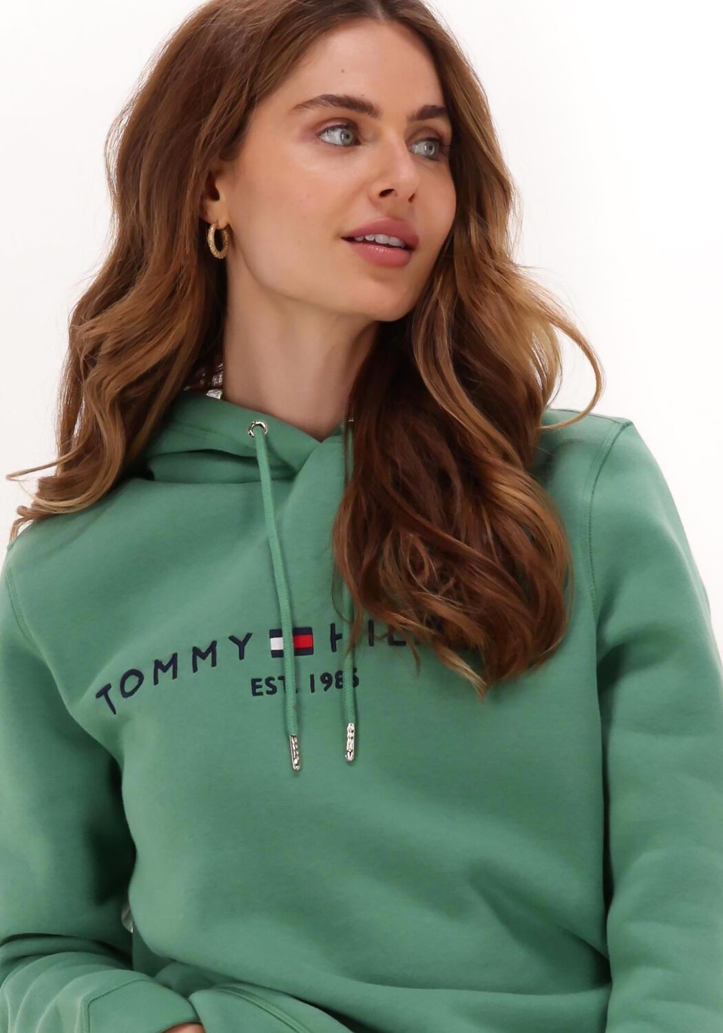 Hoodies tommy outlet hilfiger sale