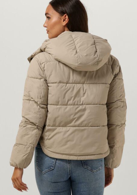 Taupe CALVIN KLEIN Wattierte Jack MONOLOGO NON DOWN SHORT PUFFER - large