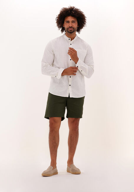 Dunkelgrün ANERKJENDT Kurze Hose AKLT JIMMY SHORTS - large