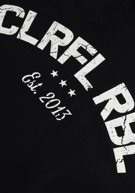 Schwarze COLOURFUL REBEL Sweatshirt CR EST. 2013 BACK PRINT HOODIE - large