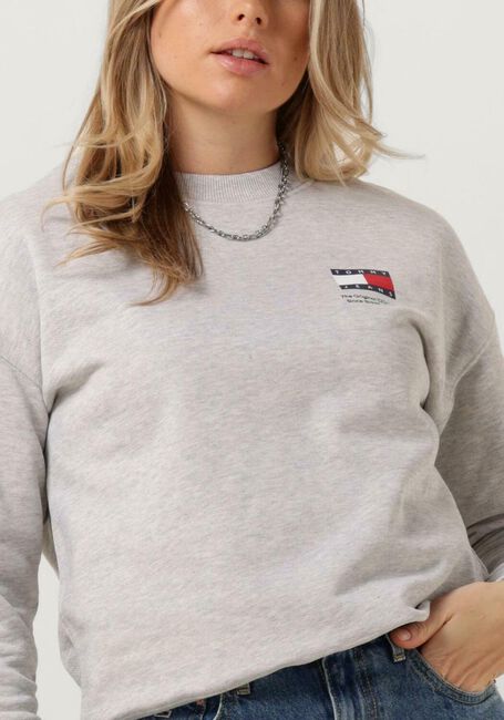 Graue TOMMY JEANS Sweatshirt TJW BXY GRAPHIC FLAG CREW - large