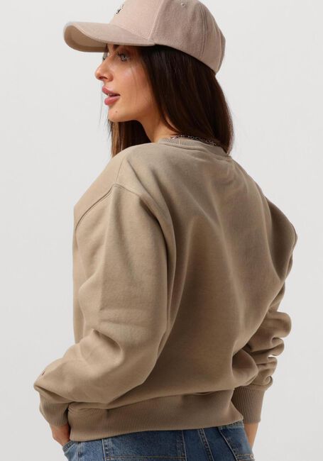 Beige TOMMY HILFIGER Sweatshirt MDRN REG CORP LOGO C-NK SWTSHRT - large